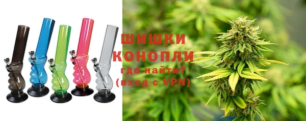 ПСИЛОЦИБИНОВЫЕ ГРИБЫ Аркадак