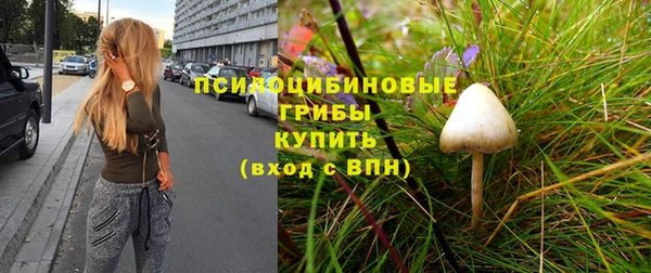 каннабис Арсеньев